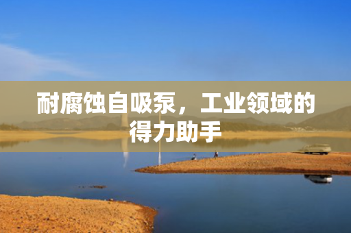 耐腐蝕自吸泵，工業(yè)領域的得力助手