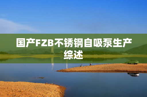 國產FZB不銹鋼自吸泵生產綜述