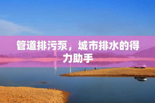 管道排污泵<div   id=