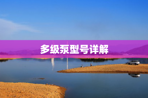 多級(jí)泵型號(hào)詳解