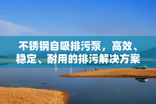 不銹鋼自吸排污泵<div   id=