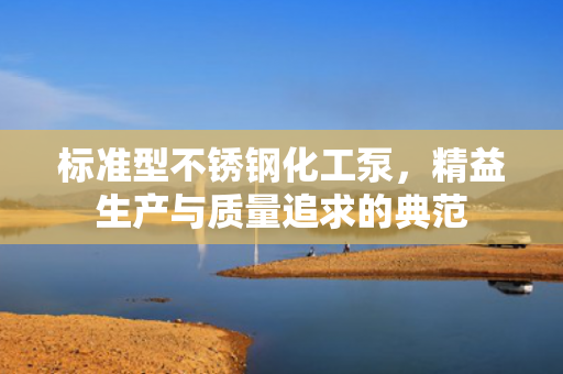 標(biāo)準(zhǔn)型不銹鋼化工泵，精益生產(chǎn)與質(zhì)量追求的典范