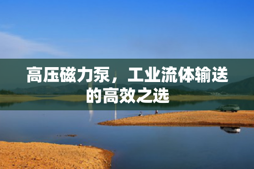高壓磁力泵<div   id=