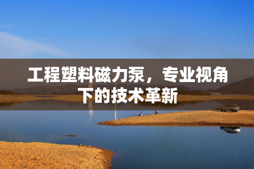 工程塑料磁力泵，專業(yè)視角下的技術(shù)革新