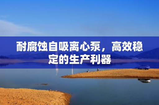 耐腐蝕自吸離心泵，高效穩(wěn)定的生產(chǎn)利器