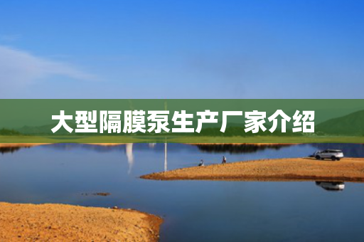 大型隔膜泵生產(chǎn)廠家介紹