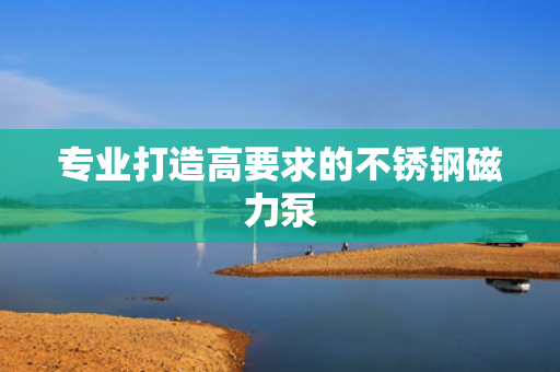 專業(yè)打造高要求的不銹鋼磁力泵