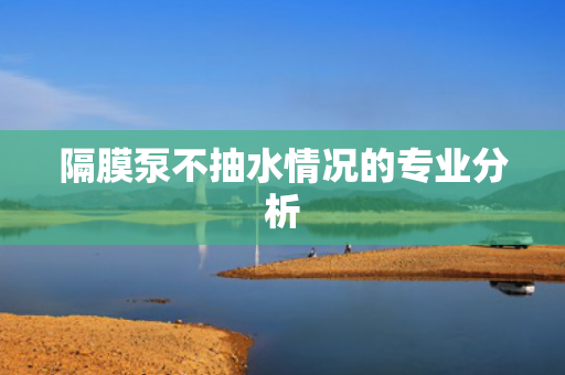 隔膜泵不抽水情況的專業(yè)分析