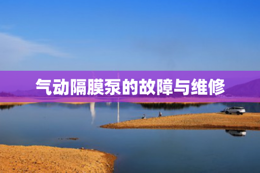 氣動(dòng)隔膜泵的故障與維修