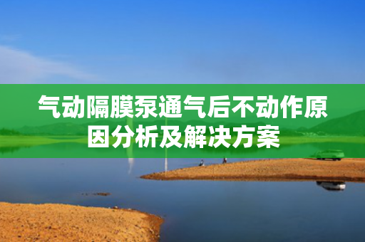 氣動(dòng)隔膜泵通氣后不動(dòng)作原因分析及解決方案