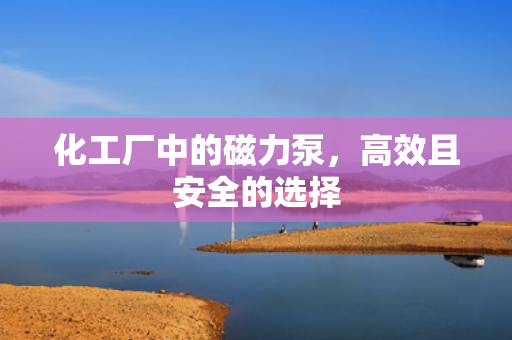 化工廠中的磁力泵<div   id=
