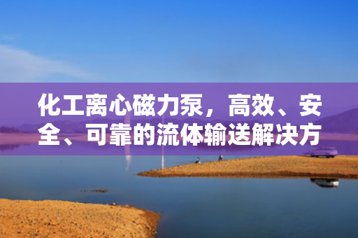 化工離心磁力泵<div   id=