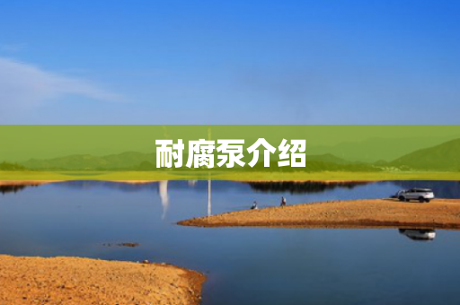 耐腐泵介紹