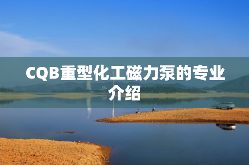 CQB重型化工磁力泵的專業(yè)介紹