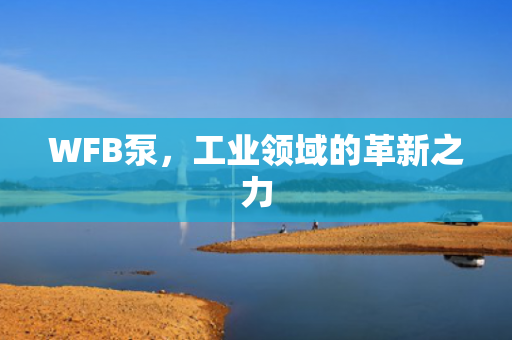 WFB泵，工業(yè)領(lǐng)域的革新之力