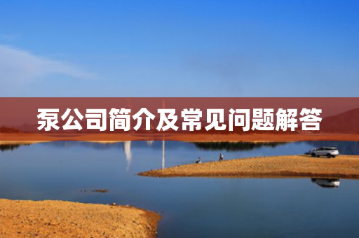 泵公司簡(jiǎn)介及常見(jiàn)問(wèn)題解答