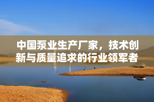 中國(guó)泵業(yè)生產(chǎn)廠家，技術(shù)創(chuàng)新與質(zhì)量追求的行業(yè)領(lǐng)軍者