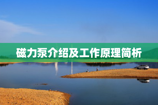 磁力泵介紹及工作原理簡析