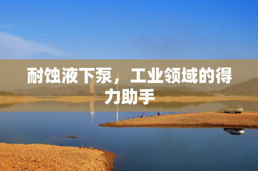耐蝕液下泵<div   id=