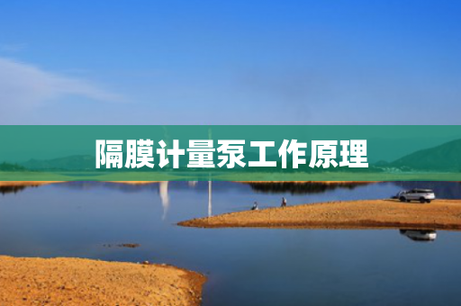 隔膜計(jì)量泵工作原理