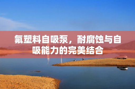 氟塑料自吸泵，耐腐蝕與自吸能力的完美結(jié)合