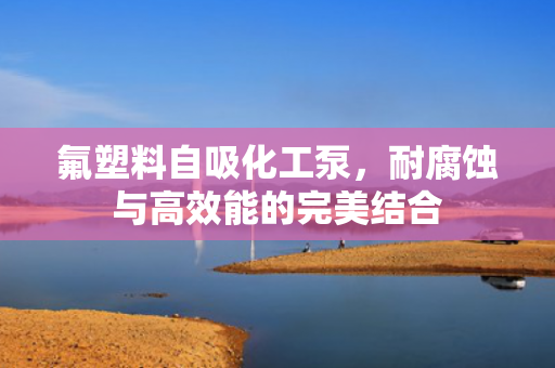 氟塑料自吸化工泵，耐腐蝕與高效能的完美結(jié)合