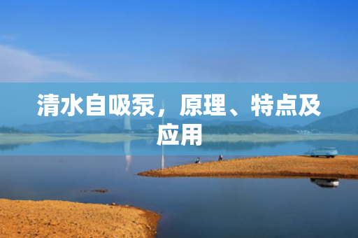 清水自吸泵<div   id=