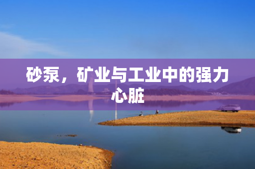 砂泵，礦業(yè)與工業(yè)中的強力心臟