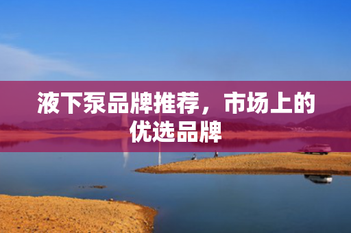 液下泵品牌推薦<div   id=