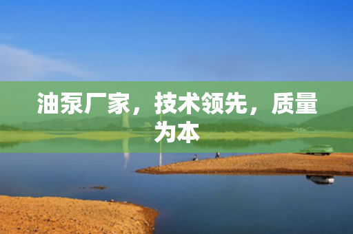 油泵廠家，技術(shù)領(lǐng)先<div   id=