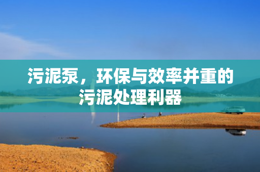 污泥泵，環(huán)保與效率并重的污泥處理利器