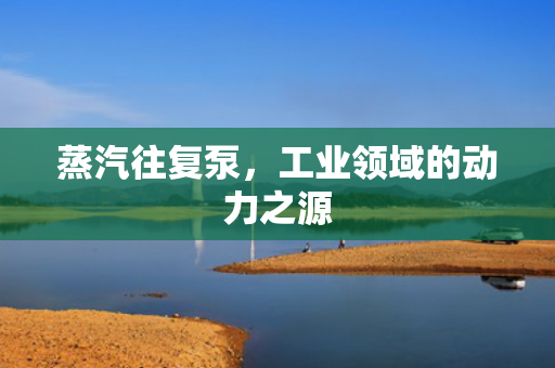 蒸汽往復(fù)泵<div   id=