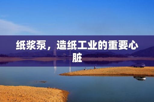 紙漿泵<div   id=