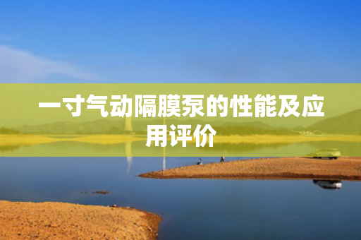 一寸氣動隔膜泵的性能及應(yīng)用評價