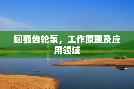圓弧齒輪泵<div   id=