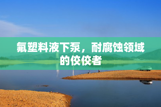氟塑料液下泵<div   id=
