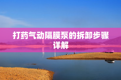 打藥氣動隔膜泵的拆卸步驟詳解