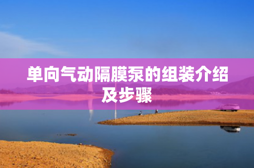 單向氣動隔膜泵的組裝介紹及步驟