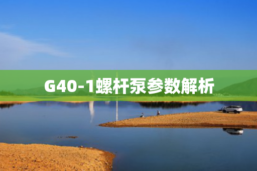 G40-1螺桿泵參數(shù)解析