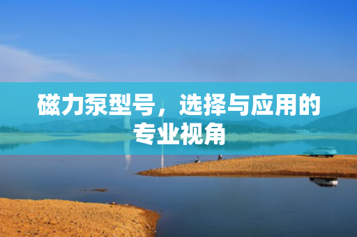 磁力泵型號(hào)<div   id=