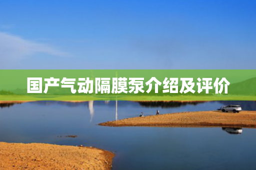 國產氣動隔膜泵介紹及評價