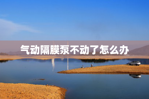 氣動隔膜泵不動了怎么辦