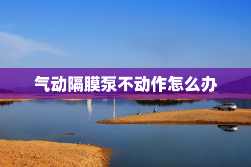 氣動隔膜泵不動作怎么辦