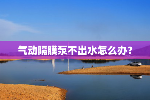 氣動隔膜泵不出水怎么辦<div   id=
