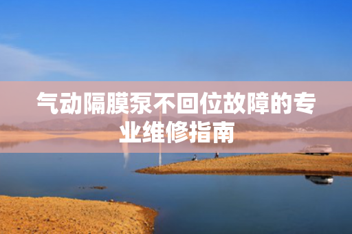 氣動隔膜泵不回位故障的專業(yè)維修指南