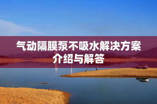 氣動(dòng)隔膜泵不吸水解決方案介紹與解答