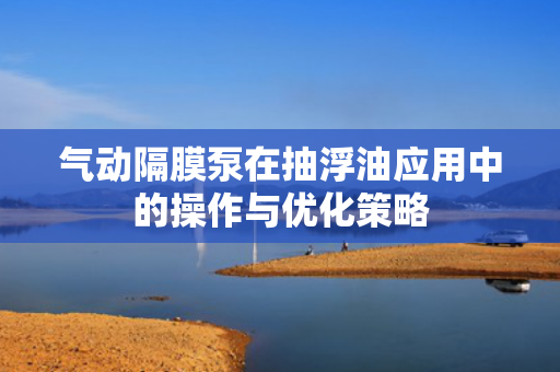 氣動(dòng)隔膜泵在抽浮油應(yīng)用中的操作與優(yōu)化策略