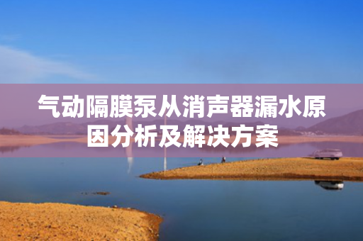 氣動(dòng)隔膜泵從消聲器漏水原因分析及解決方案