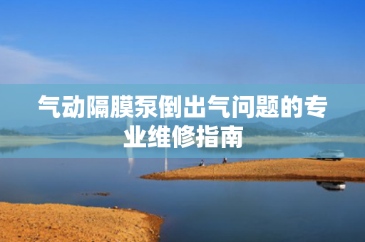 氣動隔膜泵倒出氣問題的專業(yè)維修指南