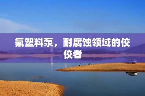 氟塑料泵<div   id=